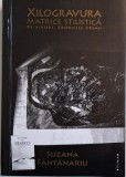 Xilogravura &ndash; matrice stilistica. Re-scrieri. Cronicile vremii &ndash; Suzana Fantanaru