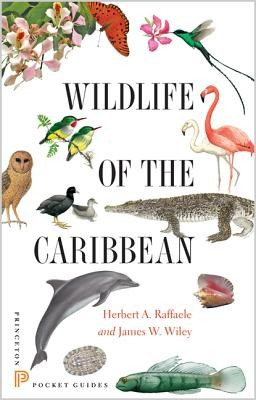 Wildlife of the Caribbean foto
