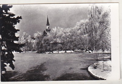 bnk cp Bucuresti - Vedere din Parcul Libertatii - necirculata foto