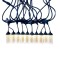 icon 10