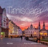 Timisoara - Florin Andreescu