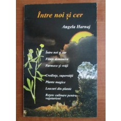 Angela Harnaj - Intre noi si cer