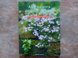 AMENAJAREA MICILOR GRADINI , OAZE DE VERDEATA PE SUPRAFETE MICI AQUILA , 2006