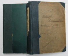 ISTORIA RAZBOIULUI PENTRU INTREGIREA ROMANIEI 1916-1919 , VOLUMELE I - II de CONST. KIRITESCU , 1922 foto
