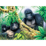 Prima pictura pe numere junior mare Gorile de munte, Jad