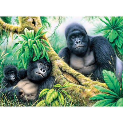 Prima pictura pe numere junior mare Gorile de munte foto