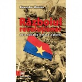 Razboiul revolutionar, de la ridicarea in masa la gherila - Alexandru Mamina