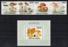 COMORE 2010 - Ciuperci / serie completa + bloc MNH, Stampilat