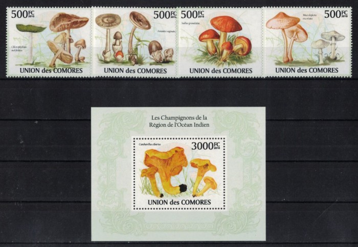 COMORE 2010 - Ciuperci / serie completa + colita MNH