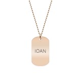 Freedom - Colier din argint 925 placat cu aur roz dog tag personalizat