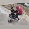 Cărucior bebe