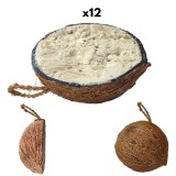 Hrană pentru păsări sălbatice &icirc;n nucă de cocos, 12 buc.