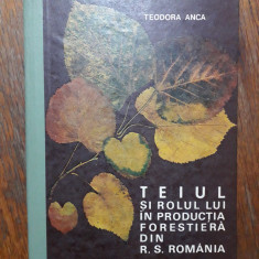 Teiul si rolul lui in productia forestiera din R.S.R. - Teodora Anca / R4P2F