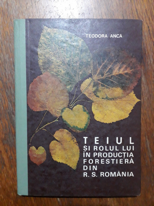 Teiul si rolul lui in productia forestiera din R.S.R. - Teodora Anca / R4P2F