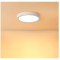 Plafoniera LED Bapro 20W, 3000K alb cald O 17cm - RESIGILAT