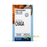 Chaga Mushroom 800mg Pure Grade Extract Ecologic/Bio 60cps