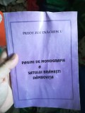 Preot Zoe Enăchescu Pagini de monografie a satului Brănești D&acirc;mbovița