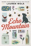 Echo Mountain, 2020