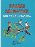 Pasari salbatice din tara noastra | Daniela Dosa, Tehno-Art