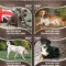 AFRICA CENTRALA 2015 - Caini /set complet-bloc + colita MNH (2 imagini)