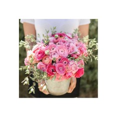 Piciorul Cocosului Ranunculus, Pink, Roz, 6/7, 1 Bulb