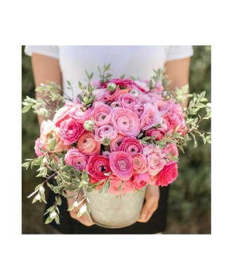 Piciorul Cocosului Ranunculus, Pink, Roz, 6/7, 1 Bulb foto