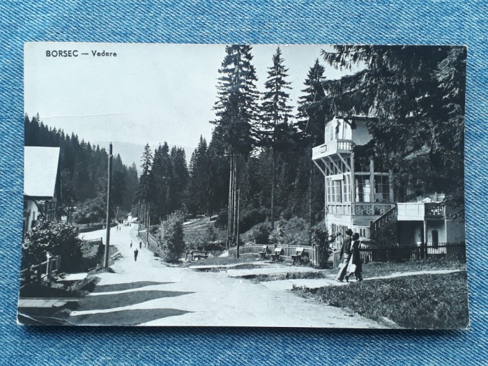 290 - Borsec Vedere / Borszek / carte postala circulata RPR