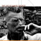 Damned to Fame: The Life of Samuel Beckett