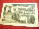 Ilustrata Sinaia - Castelul Peles - Terasa - inedita , interbelica, Circulata, Printata