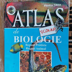 Atlas de biologie , Regnul Protista - Regnul animal - Florica Tiblea