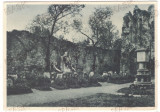 4956 - CARTA, Sibiu, Romania - old postcard - unused, Necirculata, Printata
