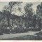 4956 - CARTA, Sibiu, Romania - old postcard - unused