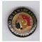 Insigna 75 de ani de la Marea Unire 1918-1993, cu defect, pin rupt