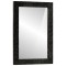 vidaXL Oglindă de baie negru 50x70x2,5cm lemn masiv de mango și sticlă 356850