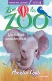 Zoe la Zoo. Un elefant neastamparat - Litera