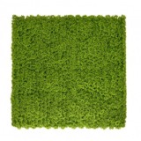 Perete verde din plastic cu mușchi 50x50 cm
