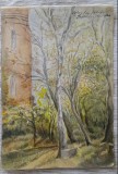 Cumpara ieftin 1956 Acuarelă Aglaia Rosei Rădulescu, 30 x 20 / Iasi / Arbori / colt de natura
