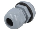 Garnitură de etanşare poliamidă gri &icirc;nchis M20 1,5 IP66 IP68