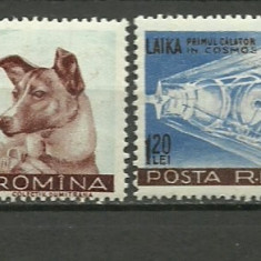 1957 - Catelusa Laika, serie neuzata