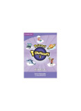 Primary i-Dictionary Level 3 Flyers Workbook and DVD-ROM Pack