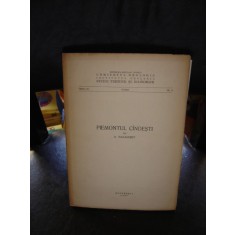 PIEMONTUL CINDESTI - D. PARASCHIV