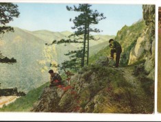 CPIB 18180 CARTE POSTALA - BAILE HERCULANE, VALEA CERNEI, RPR