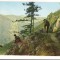 CPIB 18180 CARTE POSTALA - BAILE HERCULANE, VALEA CERNEI, RPR
