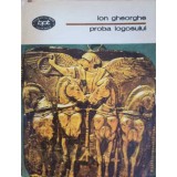 PROBA LOGOSULUI-ION GHEORGHE-247153