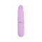 Vibratoare glont - Nauti Petites Glont Vibrator cu 10 Viteze Mic si Discret Marime Compacata Perfecta pentru Calatorii