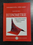 Ion Gaf-Deac - Econometrie