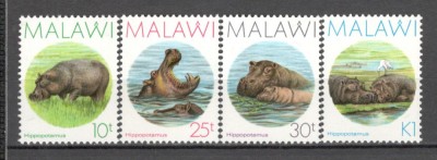 Malawi.1987 Animale-Hipopotam DM.170 foto