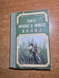 plante medicinale si aromatice de la A la Z - din anul 1982