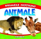 Primele notiuni: Animale, Anteea