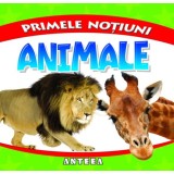 Primele notiuni: Animale - Editura Anteea